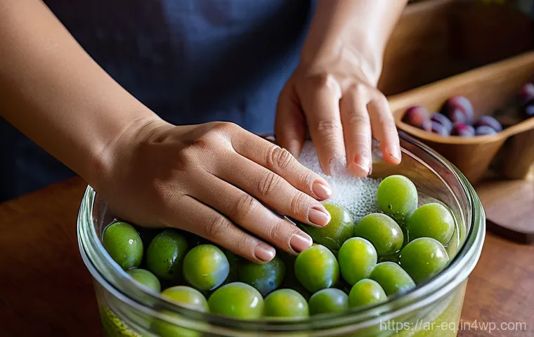 전통 방식으로 만드는 매실청 - The Art of Fermentation: Crafting Maesil Cheong** "A warm, inviting close-up shot of a woman's hand...